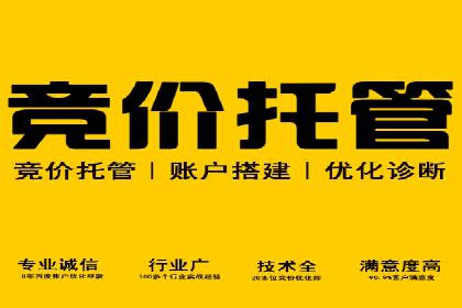 实战解析：百度推广开户成功案例分析